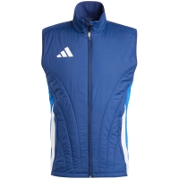 Vesta adidas Tiro 24 Competition Winterized men's blue IY0119