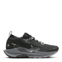 Pantof Nike Pegasus Trail 5 GORE-TEX Running dama
