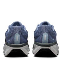 Pantof Nike Winflo 11 Road Running barbat