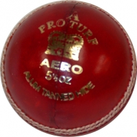 Pantof Sport Gazon Sintetic Aero Pro Cricket Ball