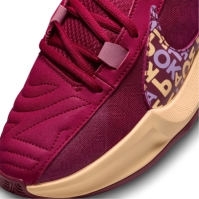 Pantof Minge Baschet Nike Zoom Freak 5