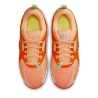 Minge Baschet Pantof sport Air Jordan Heir adulti