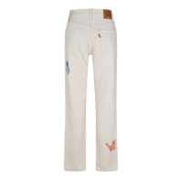 Blug Levis 501