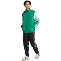 Bluza trening Men's adidas Squadra 25 Presentation green JP3165