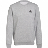 Bluza trening Bluza Adidas Essentials gray H12221