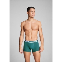 Lenjerie intima Puma Logo 2 Sn99