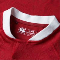 Camasa Canterbury British and Irish Lions 2024 copil
