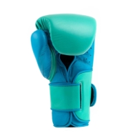 Everlast Powerlock2 Pro Hook & Loop