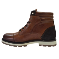 Firetrap Tauri Sn61