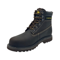 Sapca Gheata Dunlop Nevada Steel Toe Safety barbat