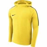 Hanorac Nike M Dry Academy18 PO yellow AH9608 719