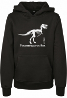 Hanorac T-Rex copil Mister Tee