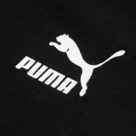 Jacheta Puma
