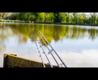 Lanseta 2+2BUC DURA CARP FEEDER 3,35M 50G PRESTON INNOVATION