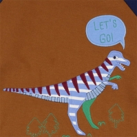 Lilly and Sid App Sweat - Dino Bb99