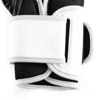 Manusa box Everlast Powerlock Training