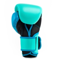 Manusa box Everlast Powerlock Training