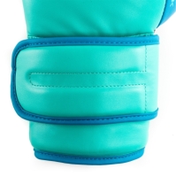 Manusa box Everlast Powerlock Training