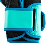 Manusa box Everlast Powerlock Training