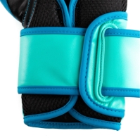 Manusa box Everlast Powerlock Training