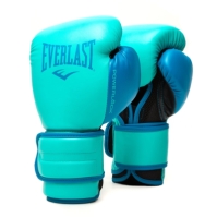 Manusa box Everlast Powerlock Training