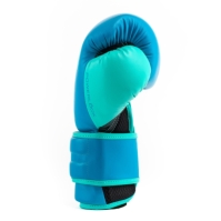 Manusa box Everlast Powerlock Training
