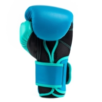 Manusa box Everlast Powerlock Training