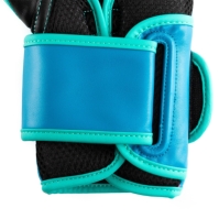 Manusa box Everlast Powerlock Training