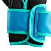 Manusa box Everlast Powerlock Training