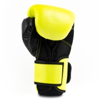 Manusa box Everlast Powerlock Training