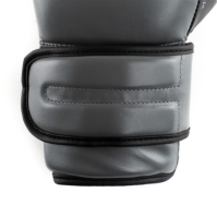 Manusa box Everlast Powerlock Training