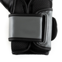 Manusa box Everlast Powerlock Training