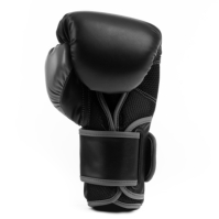 Manusa box Everlast Powerlock Training
