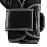 Manusa box Everlast Powerlock Training