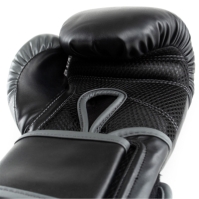 Manusa box Everlast Powerlock Training
