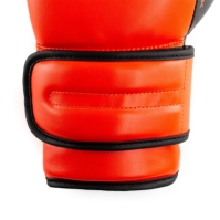 Manusa box Everlast Powerlock Training