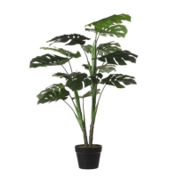 Mica Monstera in pot green