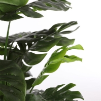 Mica Monstera in pot green