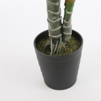 Mica Monstera in pot green