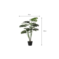 Mica Monstera in pot green