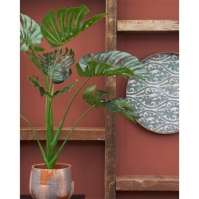 Mica Monstera in pot green