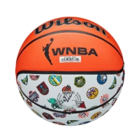 Minge Baschet Wilson WNBA Team