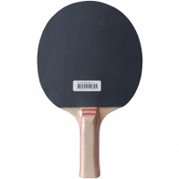 New Atemi 200 anatomical Ping Pong bats