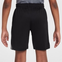 Nike CFC GK Shrt Jn44