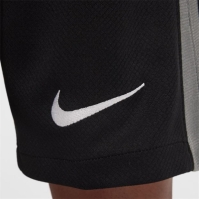 Nike CFC GK Shrt Jn44