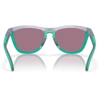 Ochelar soare Oakley Frogskins