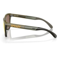 Ochelar soare Oakley Frogskins