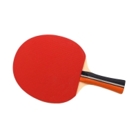 Paleta Ping Pong Sunflex TT Force C20 10314