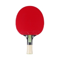 Ping pong racket Butterfly Dang Qiu DQX1