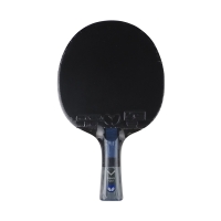Ping pong racket Butterfly Dang Qiu DQX2